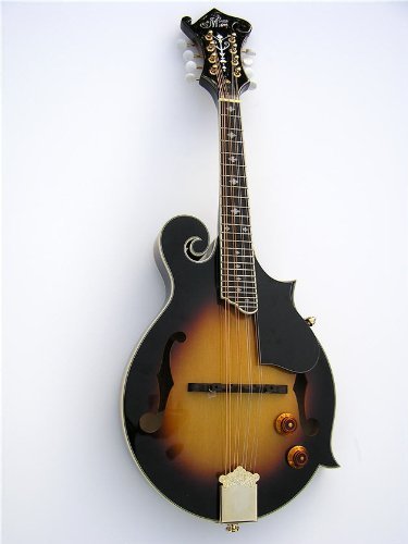 Morgan Monroe Electric F Style Mandolin w/ Case & CD On Sale