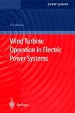 Wind Turbine Operation in Electric Power Systems: Advanced Modeling