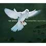 Karl Jenkins: The Armed Man, A Mass for Peace
