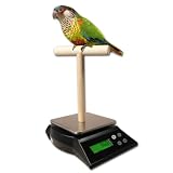 41cL3EWrPmL. SL160  ZIEIS Digital Bird Scale | A63SS NMP | Mounted Wooden T Perch | 1.0 Gram or 0.05 Ounce Accuracy | 3000 Gram or 96 Ounce Capacity | Stainless Steel Platform