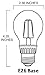 AMLEDTEK A-BF401 LED Filament A19 4W to Replace 40W Incandescent Bulb Softwhite (2700K)