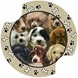 Puppies Carsters, Coasters for Your Car