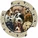 Puppies Carsters, Coasters for Your Car