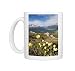 Alpine flowers and views of Celerina and St. Moritz from atop Muottas Muragl, Photo Mugs