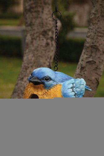 Portly Bluebird - Birdhouse