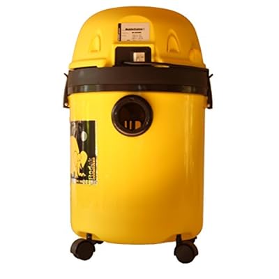 RODAK &quot;CarSpecial 4 30L&quot; Wet and Dry Vacuum Cleaner designed for car interior cleaning.