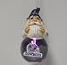 Dallas Cowboys Light Up Snow Globe Gnome Ornament