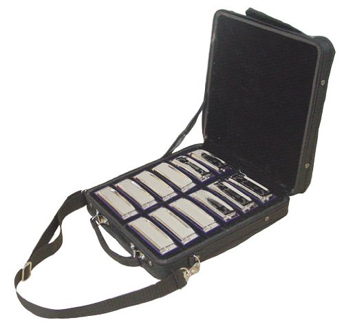 Johnson BK-520-SET Blues King Harmonica Set
