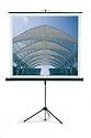 Franken Tragetasche f. Leinwand 150 cm