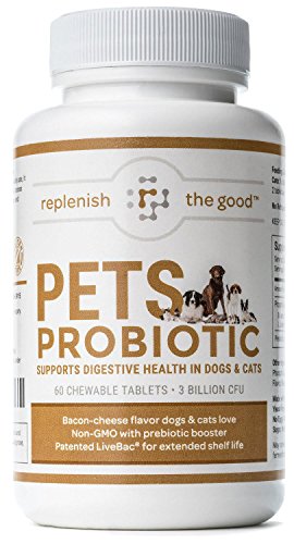 Pet Probiotic for Dogs & Cats, 60-Day Supply. 3 Billion CFU, 6 Strains. Flavored Chewable Tablets Boost Digestive and Immune Health. Dog & Cat Probiotics Reduce Upset Stomach, Diarrhea & Constipation Pet Probiotic for Dogs & Cats, 60-Day Supply. 3 Billion CFU, 6 Strains. Flavored Chewable Tablets Boost Digestive and Immune Health. Dog & Cat Probiotics Reduce Upset Stomach, Diarrhea & Constipation