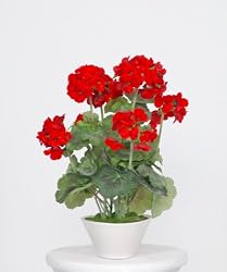 Artificial Red Geranium