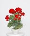 Artificial Red Geranium