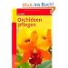 Orchideen pflegen