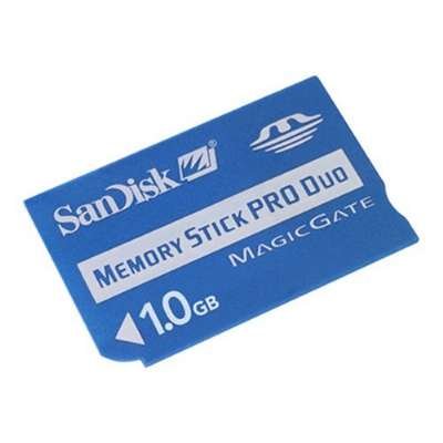 SanDisk 1 GB Memory Stick Pro Duo (SDMSPD-1024-A11)