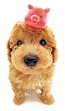 THE DOG Photo Book Collection Poodle (THE DOG Photo Book Collection)-