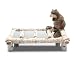 Taking Care of Business bath line RACOON soap dish Wildlife bathroom LODGE rustic NEW