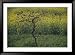 A View of a Mustard Field, Grown for the Oil, in the Southern Countryside of Rajasthan State Framed Photographic Poster Print by Bill Ellzey, 45x33