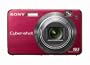 Sony Cybershot DSCW170/R 10.1MP Digital Camera with 5x Optical Zoom with Super Steady Shot (Red)