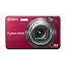 Sony Cybershot DSCW170/R 10.1MP Digital Camera with 5x Optical Zoom with Super Steady Shot (Red)