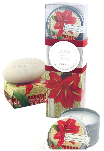 Mudlark Amaryllis Mluxe Soap Candle, Acetate Box With Band & Ribbon by Mudlark