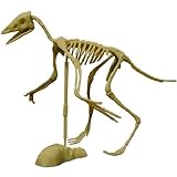 Dig It Dinosaur - Archeopteryx - Natural Science Kit -Affordable Gift for your Loved One! Item #DCHI-ARC-PK717