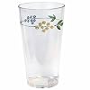 Corelle Coordinates Secret Garden 19-Ounce Acrylic Glass, Set of 6