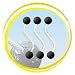 Ladder Golf Brand - Black Bolas - Set of 3