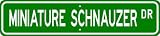 Miniature Schnauzer STREET SIGN ~ High Quality Aluminum ~ Dog Lover