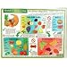 Helion Communications - Food Combining Chart - Reference Charts