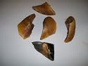 COW HOOVES~BEEF HOOVES~NATURAL EXTRA LARGE~4LBS