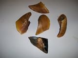COW HOOVES~BEEF HOOVES~NATURAL EXTRA LARGE~4LBS