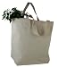 EcoSac GlobalGrocer Canvas Bag
