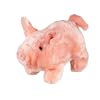 Pudgey Pig
