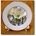 Focus on a Dogwood Flower- Flowering Trees- Flowers - 8 Inch Porcelain Plate