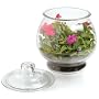 Anchor Hocking 1-Gallon Terrarium, Pack of 4