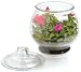 Anchor Hocking 1-Gallon Terrarium, Pack of 4