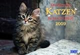 DuMonts Katzen-Kalender 2009. Broschuerenkalender: Mit literarischen Texten