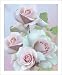 Pink Rose Photography Flower Art Prints Romantic Floral Wall Art