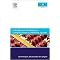 Management Accounting in Enterprise Resource Planning Systems (Paperback)