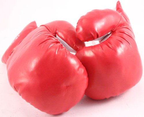 1 Pair Youth 8oz Boxing Gloves Punching Gloves
