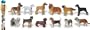 Safari Ltd Dogs Toob