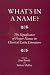 Book What's in a Name?: The Significance of Proper Names in Classical Latin Literature