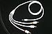 Electronics : White@AV Cable for iPod Video and iPod Photo