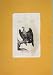 Pondicherry Egale Birds Wild Antique Print Fine Art