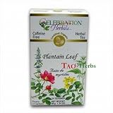 Plantain Leaf Tea - Organic - 24 Tea Bags