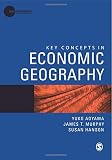 Key concepts in economic geography