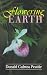 Search : Flowering Earth