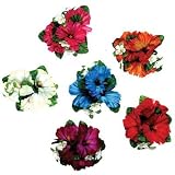 Beistle 50413 - Large Hibiscus Flower Accessories - Assorted Colors- Pack of 12