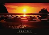 Dreams Art Poster PRINT Unknown 20x16