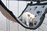 Savic Relax De Luxe Flat Medium Rat And Ferret Hammock 25 X 30 Cm
